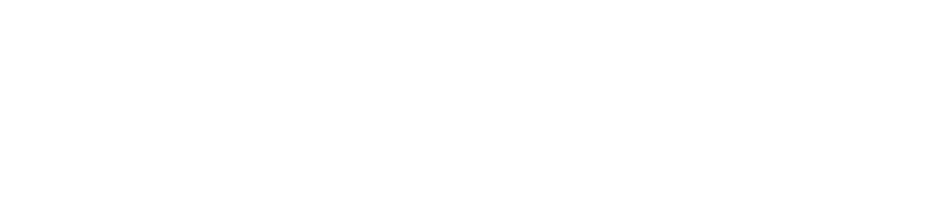 BAERSOFT